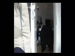 Marrón perra estilo  ...