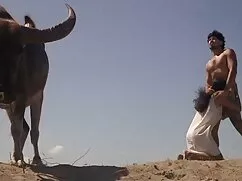 Calienta las medias  ...