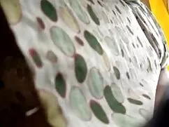 Gatitos arriba polic ...