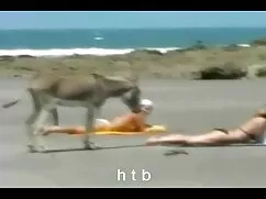 Patrulla madrastra m ...